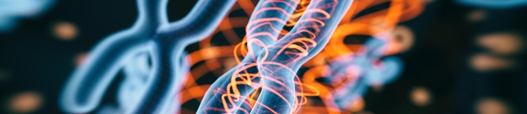 Genetic image