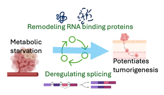 RNA Binding graphic