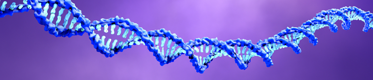 DNA strand