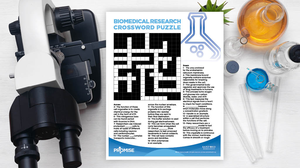 Biomedical Research Crossword Puzzle Printable Sanford PROMISE
