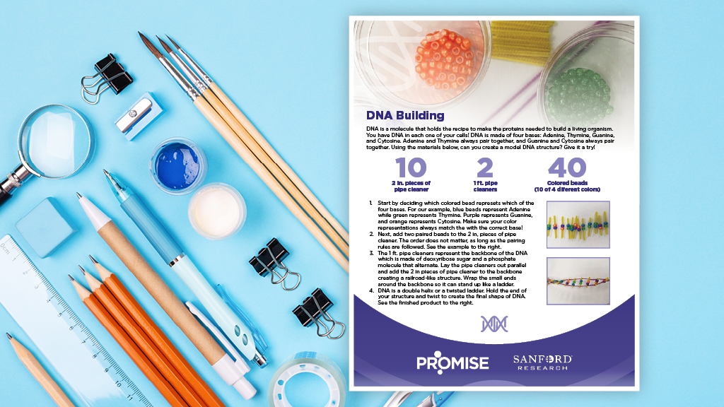 Build Dna Activity DNA Building Activity | Printable | Sanford PROMISE