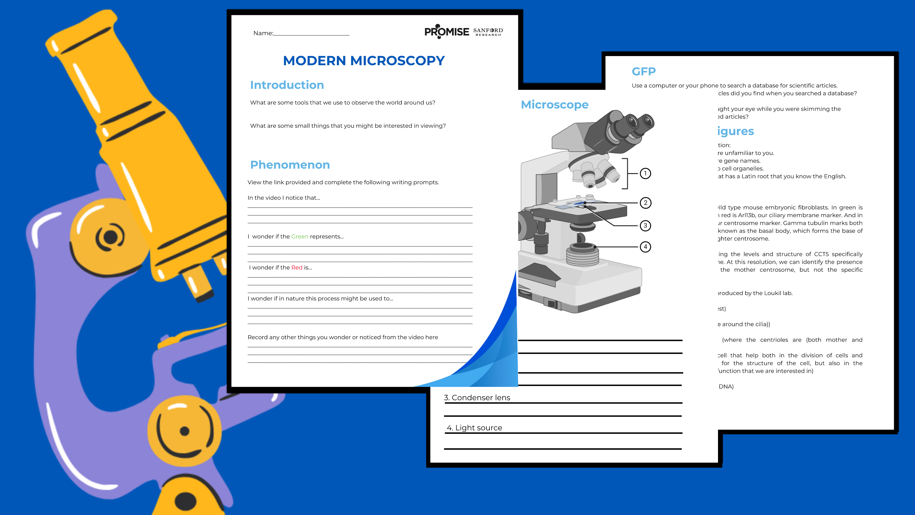 Microscopy Guide Modern Microscopy Student Guide | Printable | Sanford PROMISE