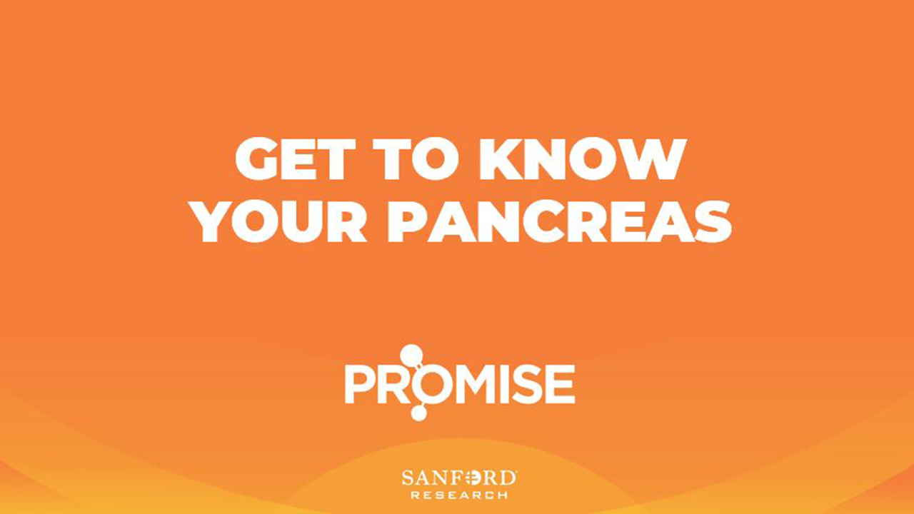 Get to know your pancreas Slideshow Sanford PROMISE